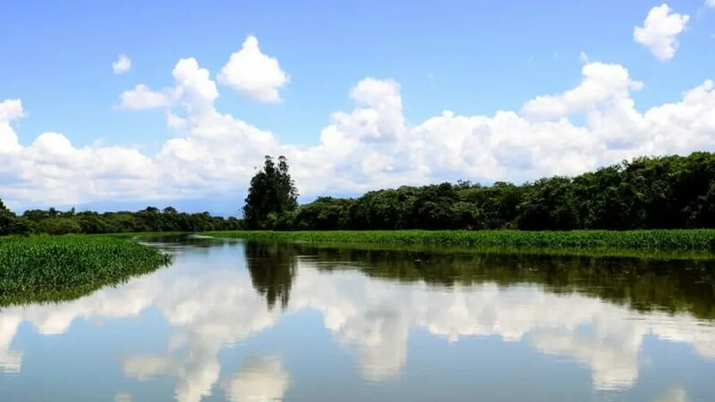 Imagem Rio Paraiba do Sul em Aparecida do artigo d1a56f7b-b400-4d38-9696-5d0bd9c8b247