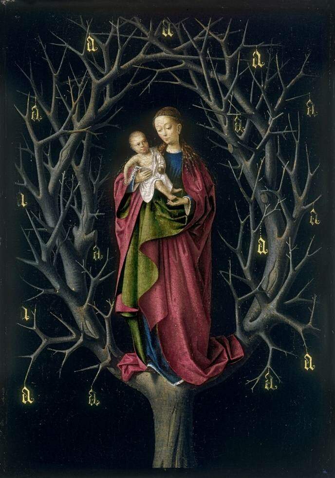 Nossa Senhora da Árvore